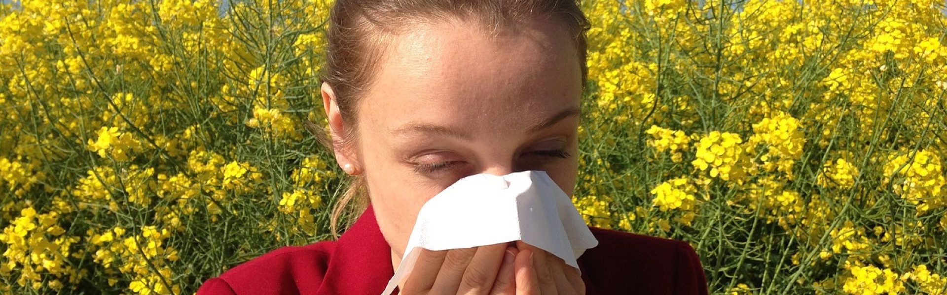 Cétirizine : traitement antihistaminique efficace contre les allergies courantes
