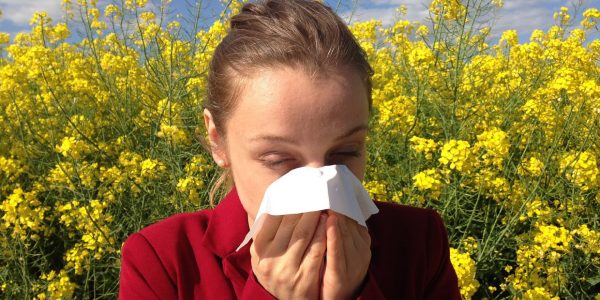 Cétirizine : traitement antihistaminique efficace contre les allergies courantes