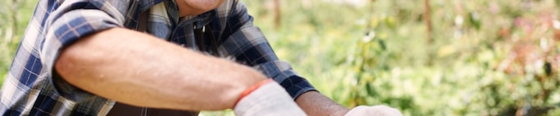 Pourquoi le jardinage est une animation idéale en EHPAD ?