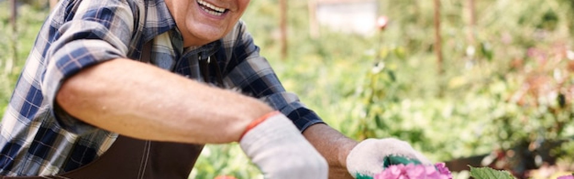 Pourquoi le jardinage est une animation idéale en EHPAD ?