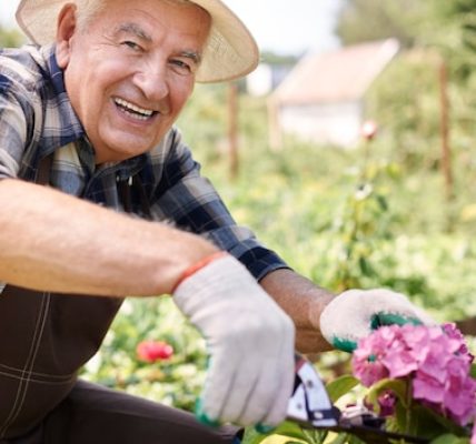 Pourquoi le jardinage est une animation idéale en EHPAD ?