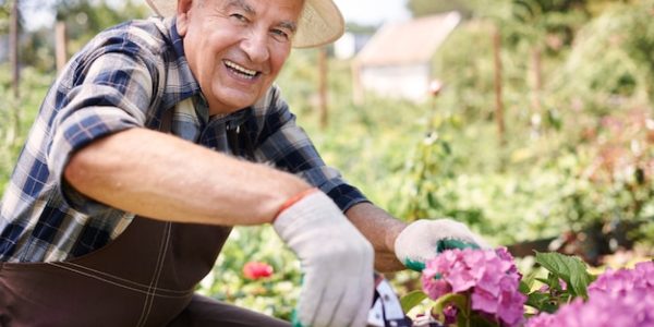 Pourquoi le jardinage est une animation idéale en EHPAD ?