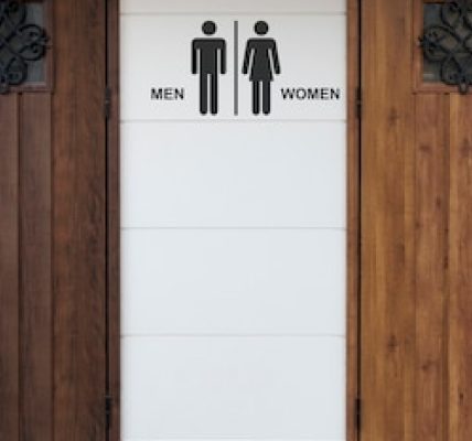 Distributeur de serviettes hygiéniques : une solution pratique pour les entreprises et établissements publics